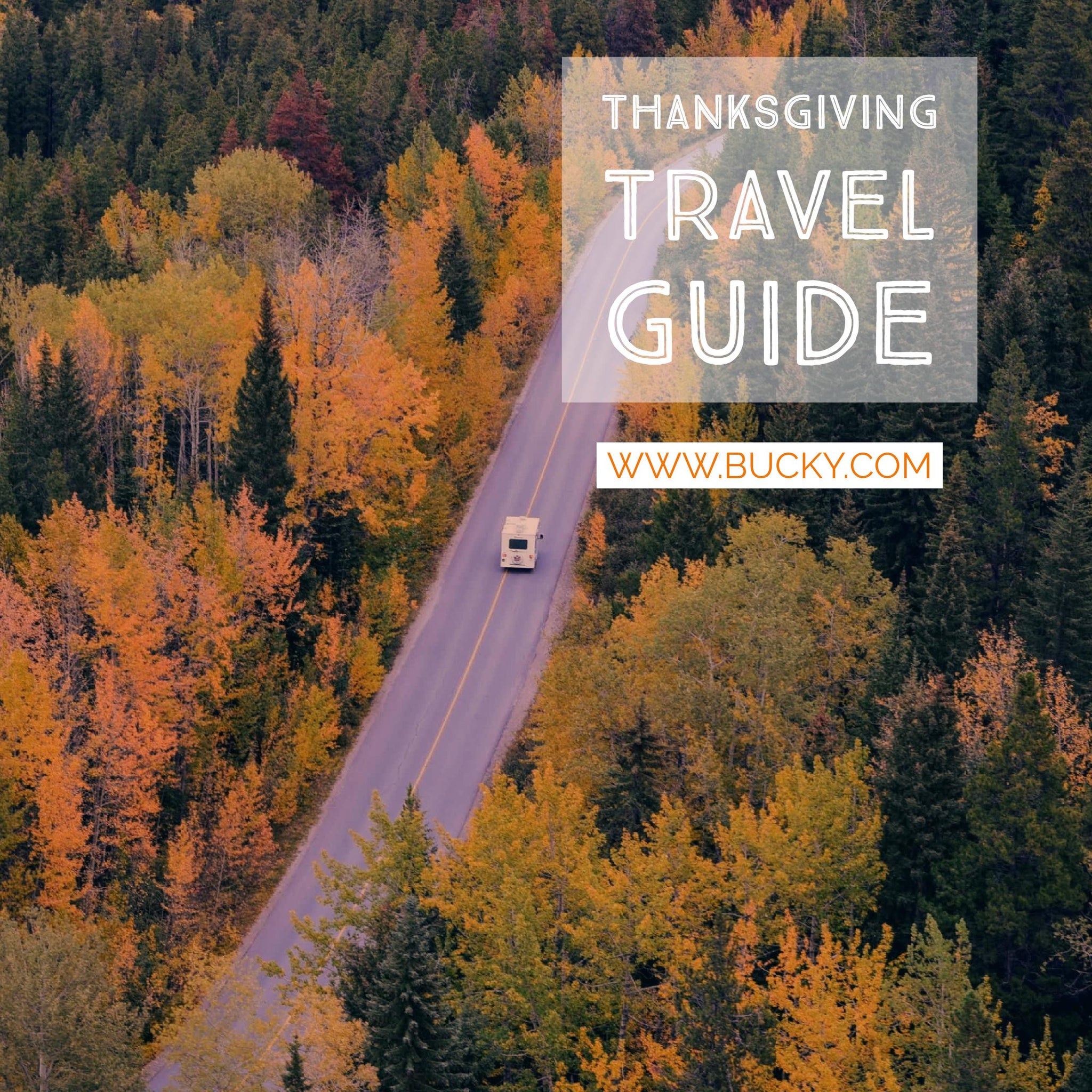 Thanksgiving Travel Guide
