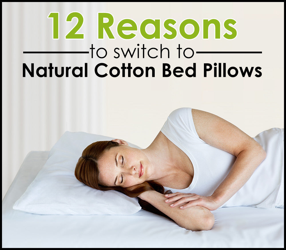 12 Reasons to switch to a Natural Cotton Buckwheat Bed Pillow